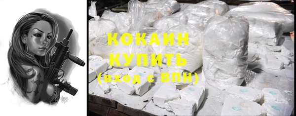 дживик Балахна