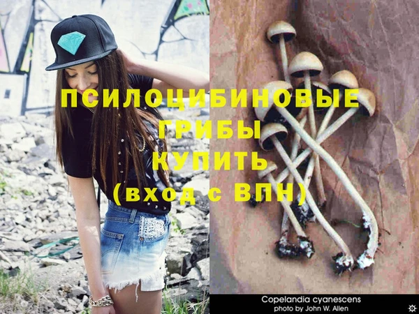 дживик Балахна