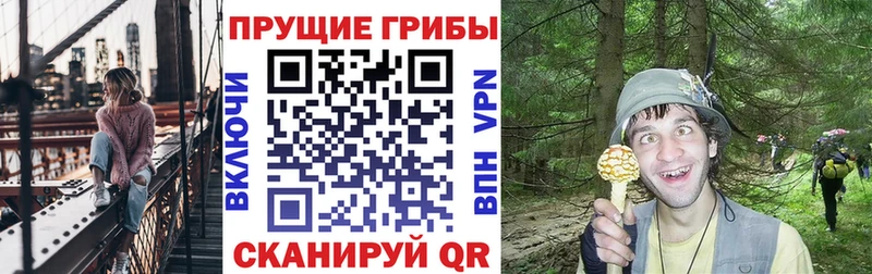 Галлюциногенные грибы мухоморы  Тогучин 